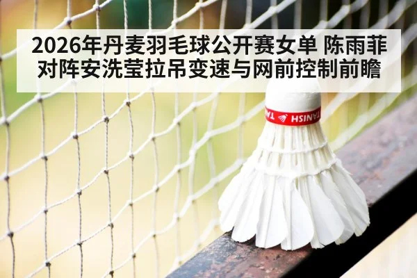 badminton net shot close-up