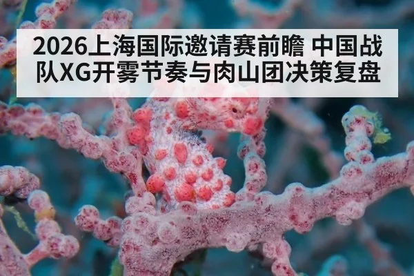 2026上海国际邀请赛前瞻 中国战队XG开雾节奏与肉山团决策复盘